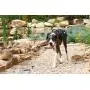Julius-K9 IDC Side Bags for IDC-Powerharness Julius-K9 IDC Side Bags for IDC-Powerharness