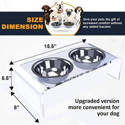 ZEXPRO Medium Size Dog Acrylic Elevated Pet Bowls - Raised Clear Feeding Stand for Dogs - 2 Set of Stainless Steel Food Container 2021 Upgrade Version