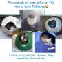 Feltcave Wool Cat Cave Bed (Medium), Handcrafted from 100% Merino Wool, Eco-Friendly Felt Cat Cave for Indoor Cats and Kittens