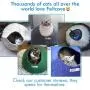 Feltcave Wool Cat Cave Bed (Medium), Handcrafted from 100% Merino Wool, Eco-Friendly Felt Cat Cave for Indoor Cats and Kittens Feltcave Wool Cat Cave Bed (Medium), Handcrafted from 100% Merino Wool, Eco-Friendly Felt Cat Cave for Indoor Cats and Kittens