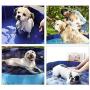 Domaker Foldable Pet Bath Pool,Outdoor PVC Swimming Bathing Tub Kiddie Pool,Collapsible Pet Pool for Dogs Cats Kids Pets,Blue