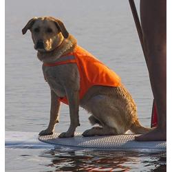 Dog Not Gone No Fly Zone Safety Vest for Dogs, Large, Orange (NFZ Safety LG Org)