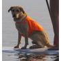 Dog Not Gone No Fly Zone Safety Vest for Dogs, Small, Orange