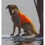 Tick Repelling Safety Dog Vest Tick Repelling Safety Dog Vest