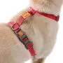 AdventureMore,Comfort Harness & Bungee Leash Set,Nylon,Reflective Adjustable Harness,Shock Absorbing Double Handle Leash XXL Red AdventureMore,Comfort Harness & Bungee Leash Set,Nylon,Reflective Adjustable Harness,Shock Absorbing Double Handle Leash XXL Red