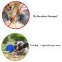 SiNetGuy Multifunction Pet Molar Bite Toy Dog Chew Toys, Self-Playing Rubber Ball Toy with Suction Cup Molar Chew Toy Cleaning Teeth