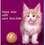 Mould King Wicked Ball, 100% Automatic and Interactive Ball to Keep Your Dogs/Cats Company All Day, Your Pets Joy When Home Alone -NOT for Dog CHEWERS (Orange)