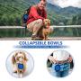 N A PuppyDoggy 2 Pack Collapsible Dog Bowl for Travel Dog Slow Feeder Bowl Water Dish Portable & Dog Toy Ball Chewing Training & Dog Poop Bag Dispenser for Dogs and Cats
