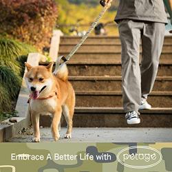 PETAGE Dog Harness and Dog Leash 6FT Heavy Duty Dog Leash with 2 Padded Handles