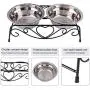 Raised Dog Bowls, Double Dog Bowls Cat Food Water Bowls Feeder Dishes Rack Stand Stainless Steel Raised Dog Bowls, Double Dog Bowls Cat Food Water Bowls Feeder Dishes Rack Stand Stainless Steel