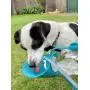 Dog Water Bottle to Keep your Pet Hydrated while Walking, Hiking or Traveling. This 20oz Portable Water Container has a foldable Leaf Style Dispenser to act like a bowl. Lightweight Food-Grade Silicon Dog Water Bottle to Keep your Pet Hydrated while Walking, Hiking or Traveling. This 20oz Portable Water Container has a foldable Leaf Style Dispenser to act like a bowl. Lightweight Food-Grade Silicon