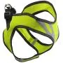 PAWISE Dog Harness No Pull Pet Reflective Mesh Soft Padded Mesh Walking Vest with 2 Leash Clips PAWISE Dog Harness No Pull Pet Reflective Mesh Soft Padded Mesh Walking Vest with 2 Leash Clips