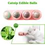 Grehod Licking Le Catnip Ball Cat Snack Toys Molar Teeth Helps Digestion Emetic Molar Teeth Teeth Rotate Catnip Balls Gall Fruit Silvervine Ball Gall Nut Ball