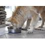 OurPets Premium DuraPet Dog Bowl
