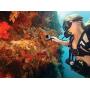 GoPro Gooseneck (All GoPro Cameras) - Official GoPro Mount