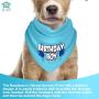 JT PET Dog Birthday Boy Party Pack with Bandana, Star Spangled Party Hat with Adjustable Elastic, Tassels and Feathery Trim, and Vegan Birthday Pie