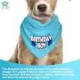 JT PET Dog Birthday Boy Party Pack with Bandana, Star Spangled Party Hat with Adjustable Elastic, Tassels and Feathery Trim, and Vegan Birthday Pie JT PET Dog Birthday Boy Party Pack with Bandana, Star Spangled Party Hat with Adjustable Elastic, Tassels and Feathery Trim, and Vegan Birthday Pie