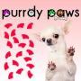Purrdy Paws 40-Pack Soft Nail Caps for Dogs Claws RED