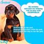 PETSWORLD Dobermans Training Giant Pads, 28x34 inch, 50 Ct