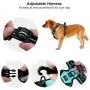 PHILORN No Pull Dog Harness with 1.5m Leash, Adjustable Front Clip Dog Vest Harness, Soft Mesh Padded Vest with Reflective Stitching, Handle and 2 Rings, Easy Control for Small, Medium, Large Dog