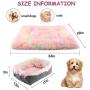 Chintu Cat Bed Pad for Indoor Cats Machine Washable Mat 2-in-1 Pet Beds for Medium Small Dogs Plush Fluffy Dog Bed Faux Fur Cat Cushion Rainbow 20x24 Inch