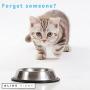 Cat Feeding or Medication Reminder – Pet Food Organizer - Am Pm Daily Indicator Sign - Fed or Feed the Kitten Supplies - Fridge Magnets and Double Sided Tape - Care for Your Cats with Glide Signs