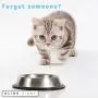 Cat Feeding or Medication Reminder – Pet Food Organizer - Am Pm Daily Indicator Sign - Fed or Feed the Kitten Supplies - Fridge Magnets and Double Sided Tape - Care for Your Cats with Glide Signs Cat Feeding or Medication Reminder – Pet Food Organizer - Am Pm Daily Indicator Sign - Fed or Feed the Kitten Supplies - Fridge Magnets and Double Sided Tape - Care for Your Cats with Glide Signs