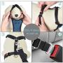 haapaw Dog Seatbelt 2 Packs Adjustable Stretchable Dog Seat Belt with a Double Breathable Mesh Dog Car Harness