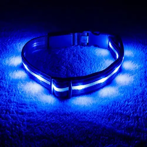 Blazin Safety LED Dog Collar – USB Rechargeable with Water Resistant Flashing Light – XSmall Blue Blazin Safety LED Dog Collar – USB Rechargeable with Water Resistant Flashing Light – XSmall Blue