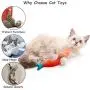 AKETCH 3 Pack Catnip Fish Cat Toy Cat Chew Squeaky Toy Interactive Pets Pillow Plush Bite Kick Fish Toys with Catnip for Cat Toothbrush
