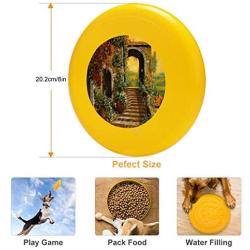Pet Frisbee Flying Disc Dog Toy - Multifunction Le Scale Guido Borelli