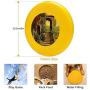 Pet Frisbee Flying Disc Dog Toy - Multifunction Le Scale Guido Borelli