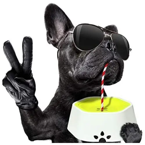 Petriz Dog Water Bowl No Spill Water Bowl for Dogs Floating Bowl Dog Dripless Water Bowl Slow Down Water Feeder Spill Proof Anti Splash for Pets/Cats Petriz Dog Water Bowl No Spill Water Bowl for Dogs Floating Bowl Dog Dripless Water Bowl Slow Down Water Feeder Spill Proof Anti Splash for Pets/Cats