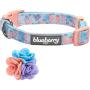 Blueberry Pet 5 Patterns Made Well Floral Dog Collars