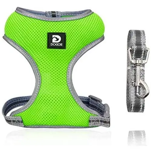Puppy Harness and Leash Set - Dog Vest Harness for Small Dogs Medium Dogs- Adjustable Reflective Step in Harness for Dogs - Soft Mesh Comfort Fit No Pull No Choke (XS, Light Green)