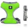 Puppy Harness and Leash Set - Dog Vest Harness for Small Dogs Medium Dogs- Adjustable Reflective Step in Harness for Dogs - Soft Mesh Comfort Fit No Pull No Choke (XS, Light Green)