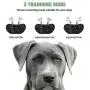 Dog Training Collar, Rechargeable Dogs Shock Collar Set with Remote, w/3 Training Modes, Beep, 8 Vibration Levels& 16 Shock Levels, Waterproof Adjustable Bark Collar Fit for Small Medium Large Dogs Dog Training Collar, Rechargeable Dogs Shock Collar Set with Remote, w/3 Training Modes, Beep, 8 Vibration Levels& 16 Shock Levels, Waterproof Adjustable Bark Collar Fit for Small Medium Large Dogs