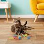 SPOT Ethical Products Ethical Wide Colorful Springs Cat Toy