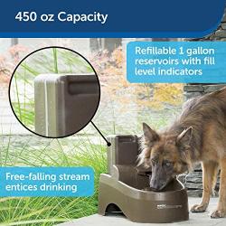 PetSafe Drinkwell Indoor/Outdoor Dog Fountain, Pet Drinking Fountain for Dogs and Cats, 450 oz. Water Capacity, Automatic Dispenser