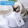 OBOR Cat Water Fountain Filter Replacement,Cat Water Dispenser Filter of Cotton Activated Carbon, Pet Water Fountain Filter for 84oz/2.5L