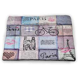 DayDayFun Paris Pet Mat Bed Famous Eiffel Tower Reflected On Water Picture Historical French Architecture Pet Mats are Not Sticky Blue Green Grey