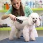 YePexwo Dog Clippers, Professional Heavy Duty Dog Grooming Clipper Set 3-Speed Low Noise Rechargeable Cordless Pet Grooming Tools for Dogs Cats and Other Pets