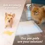 Puppy Pads Dog Pee Pad for Potty Training Dogs & Cats 22 x 22''- 150-Count Large