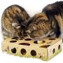 Cat Amazing – Best Cat Toy Ever! Interactive Treat Maze & Puzzle Feeder for Cats