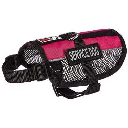 Dogline Service Dog Vest