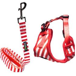 EcoBark Dog Harness and Matching Leash Combo Set; Easy to Put on Very Secure Soft Double Padded, Fully Adjustable Neck and Tummy for Small and Medium Dogs.