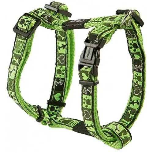 Premium Pattern Ribbon Designer Adjustable Dog H Harness for Medium Dogs; matching collar and leash available, Lime Juice Fresh Spring Design Premium Pattern Ribbon Designer Adjustable Dog H Harness for Medium Dogs; matching collar and leash available, Lime Juice Fresh Spring Design