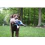 FUZZU Joe V. Mike Set/2 Dog Toys, Joe (17'' Size) + Mike (17'' Size)