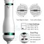 Pettool Pet Hair Dryer with Slicker Brush, Portable and Quiet 2 in 1 Pet Grooming Hair Dryer Blower with Removeable Slicker Brush, Adjustable 3 Temperatures Settings, for Large Dog, Daring Pet