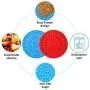 JinFu Cun Dog Lick Mats, 2 Pack [Blue and Red] Slow Feeding Bite Proof Silicone Peanut Butter Treat Pads and Gift Grooming Brush – Pet Distraction & Training Device for Dog Bath